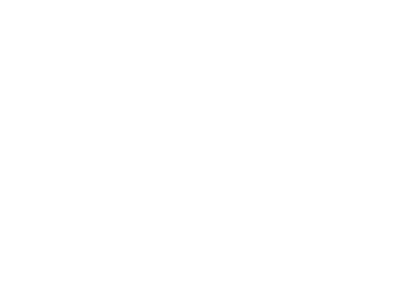 給与詳細